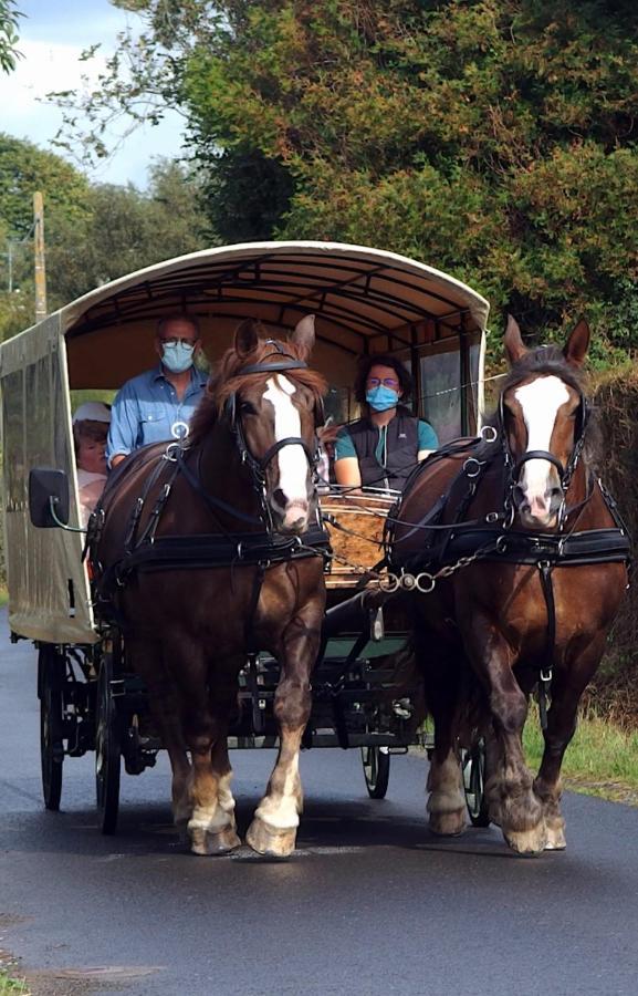 Bed & Breakfast Chez Jollyjune, A Moins D'une Heure Du Mont Saint Michel *